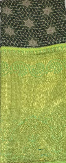 Kanchi Pattu 8