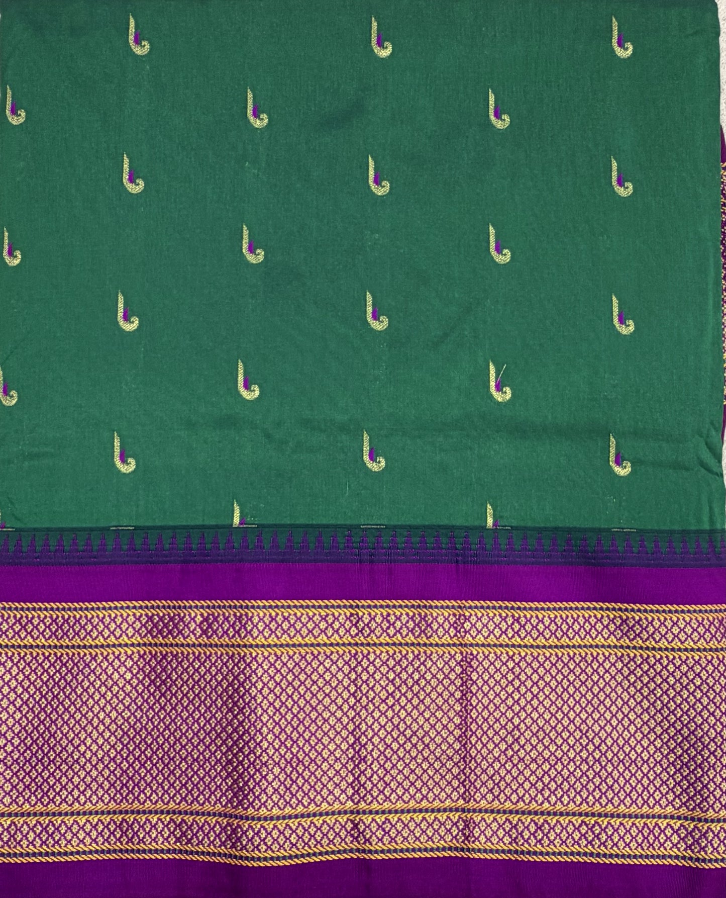 Narayanpet Muniya 1
