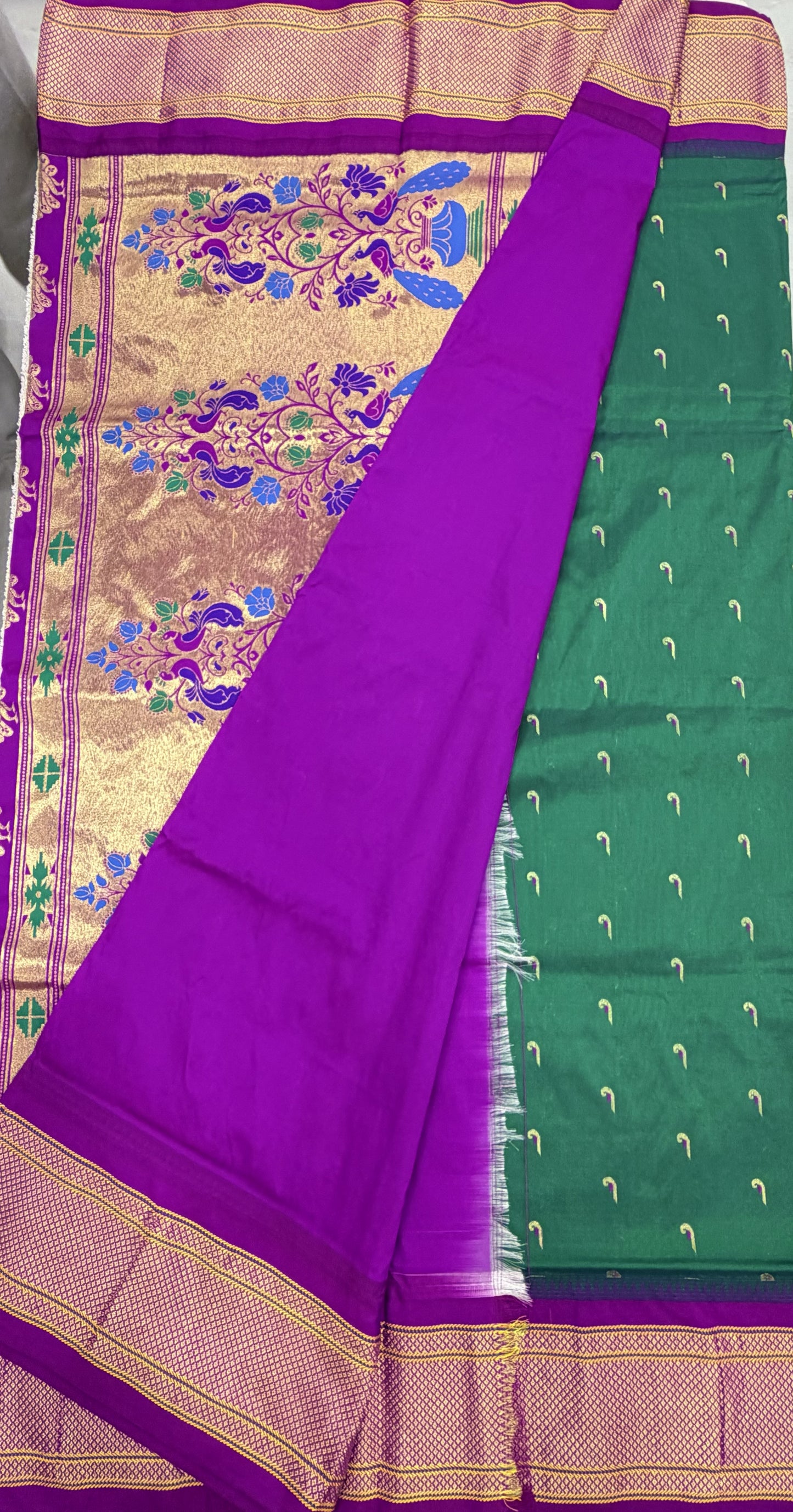 Narayanpet Muniya 1