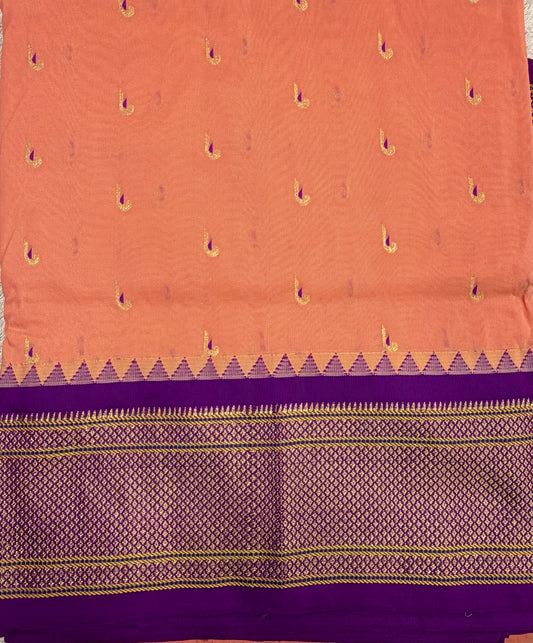 Narayanpet Muniya 5