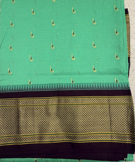 Narayanpet Muniya 6
