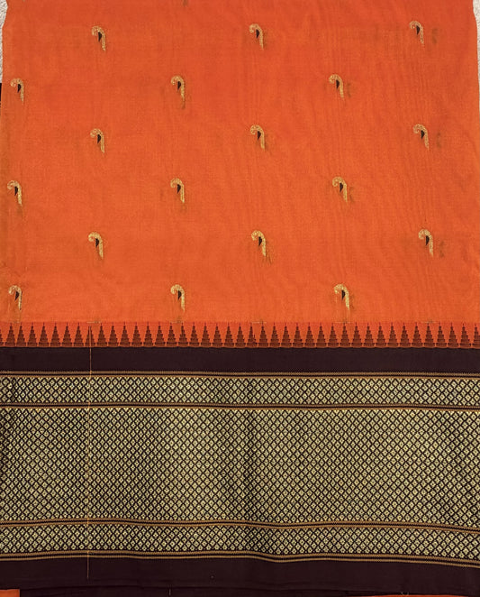 Narayanpet Muniya 8