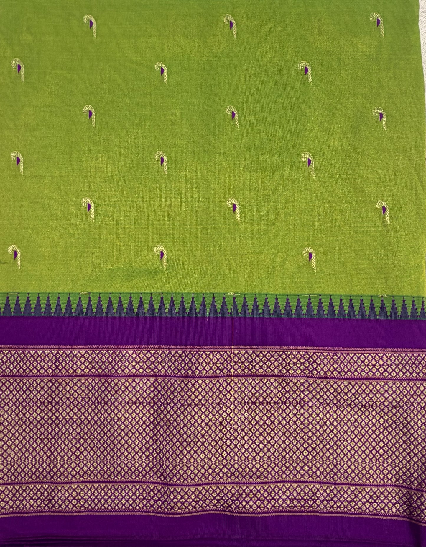 Narayanpet Muniya 9