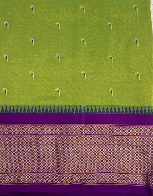 Narayanpet Muniya 9