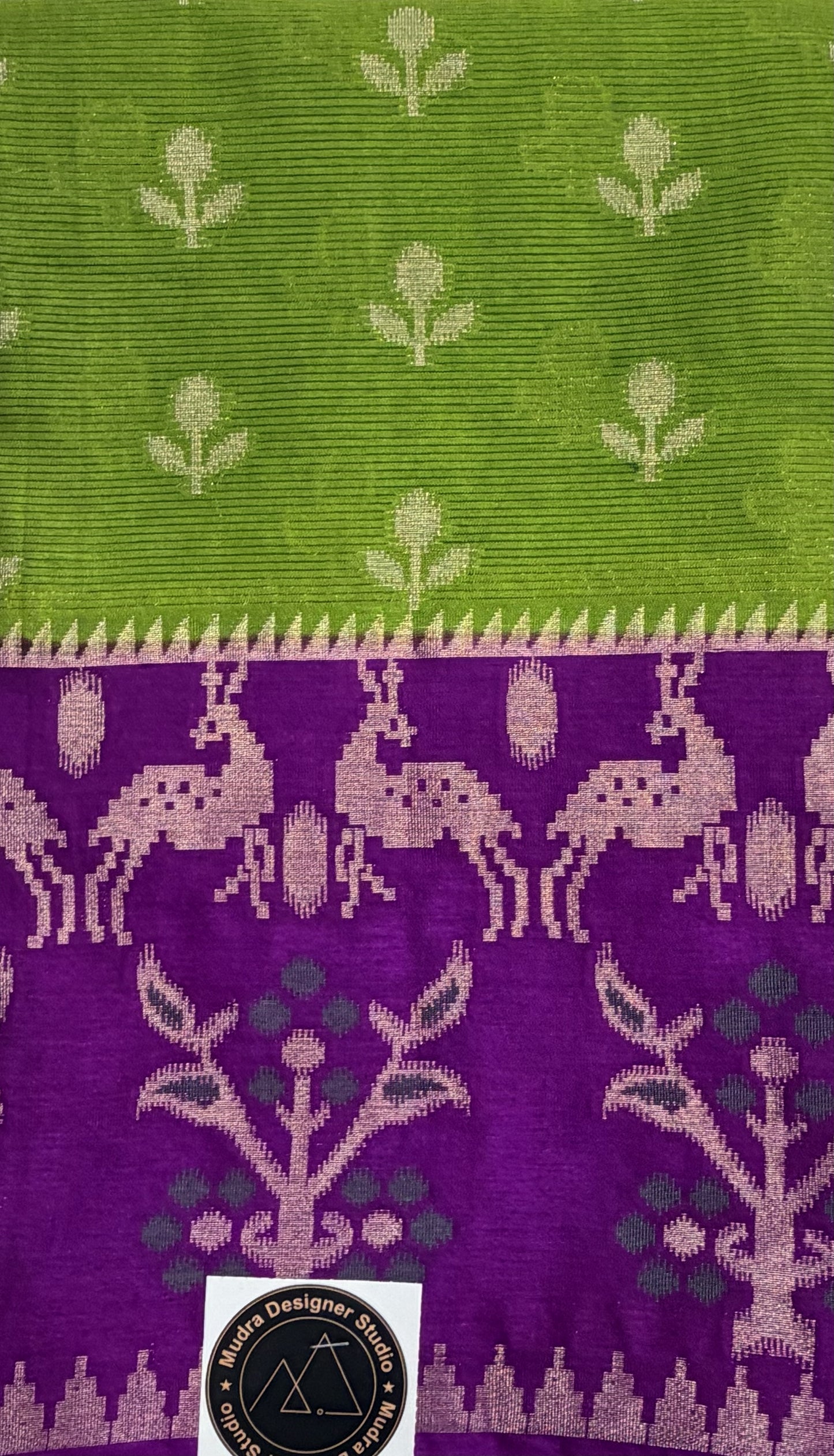 Fancy Saree 19