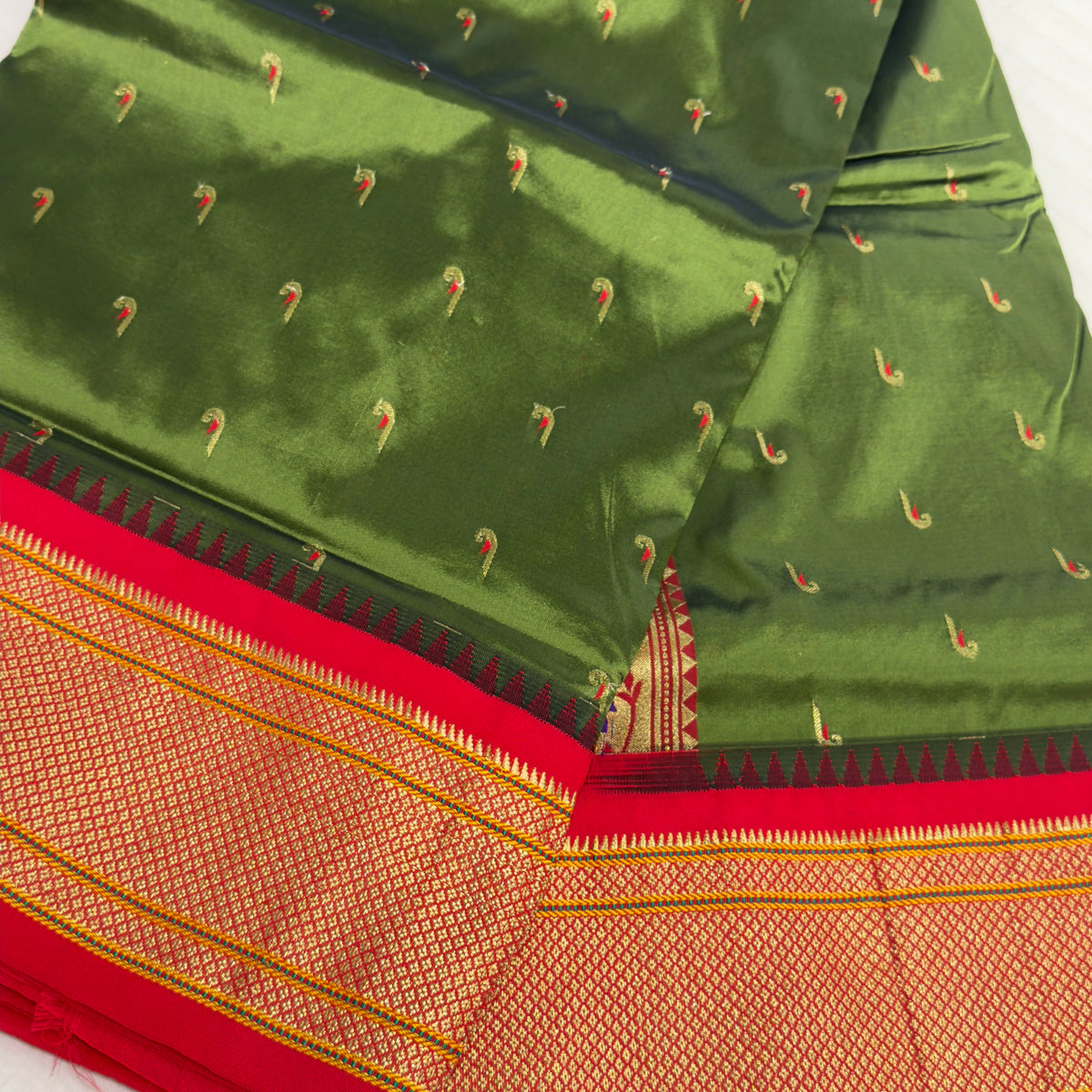 Narayanpet 12