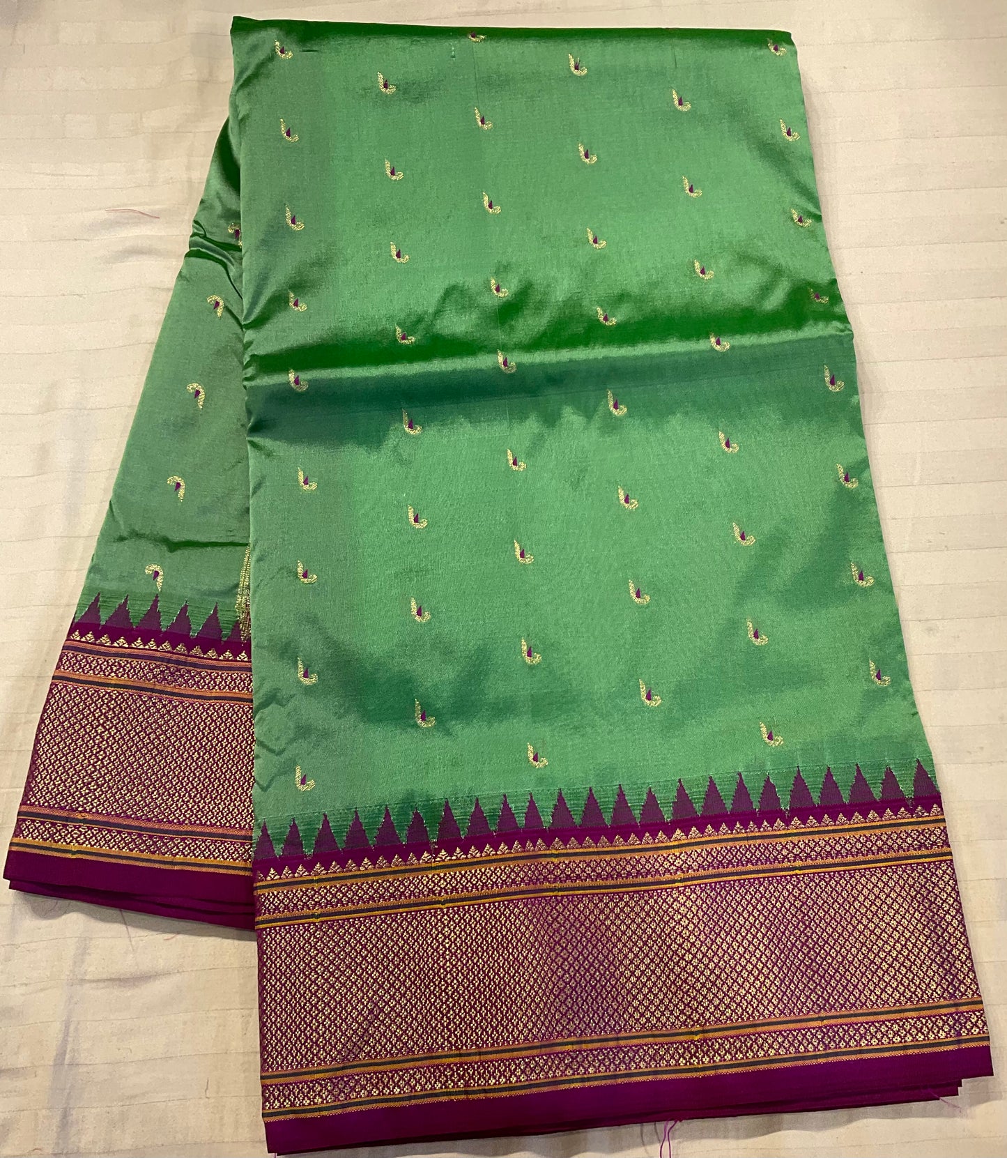 Narayanpet Pattu 4